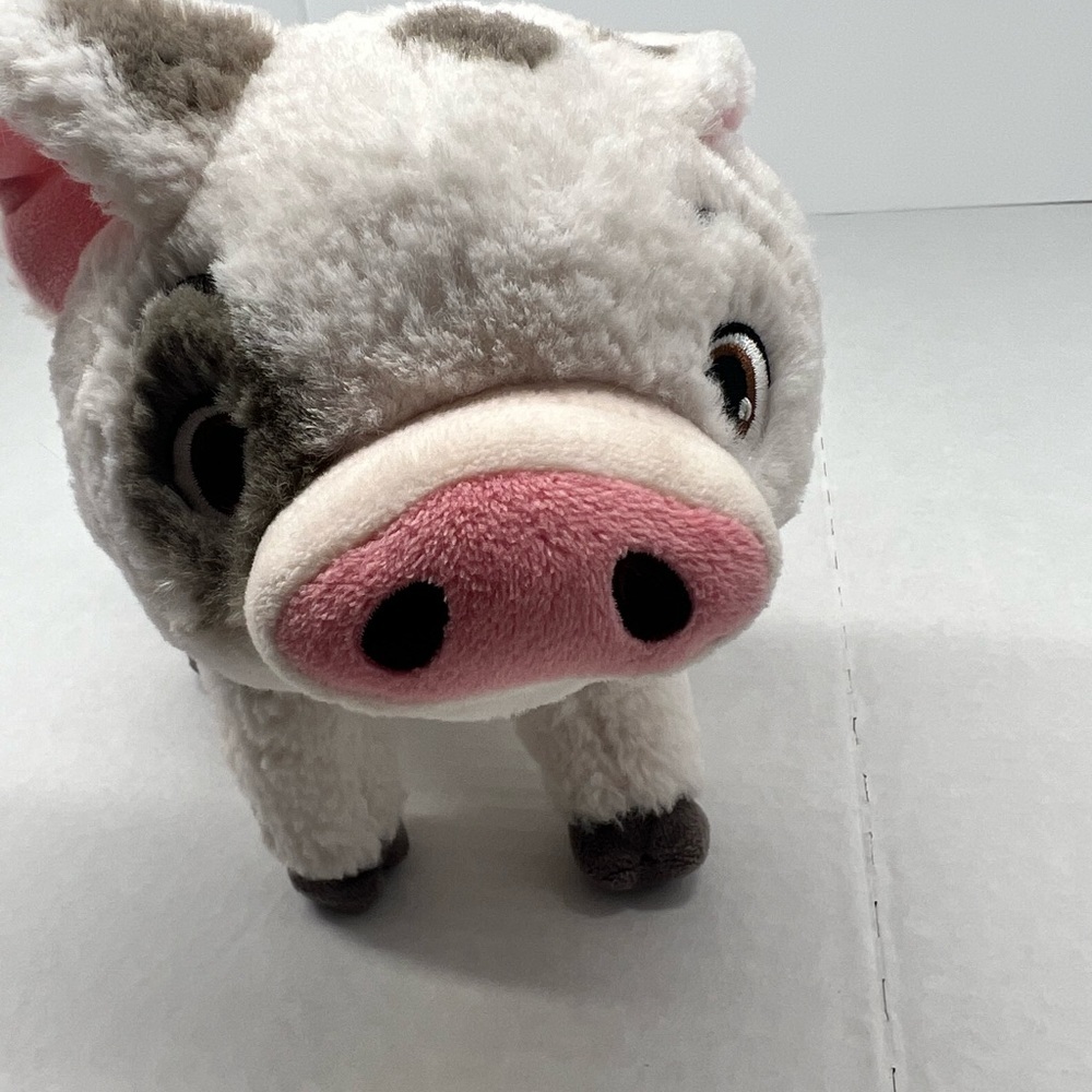 Pua pig from Moana​